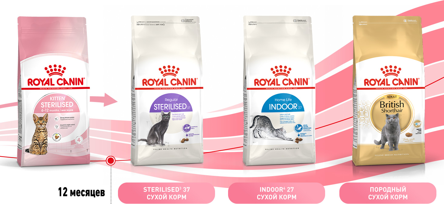 Royal Canin