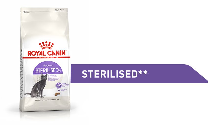 Роял канин для стерилизованных кошек 4. Royal Canin Sterilised 37. Роял Канин бенгал. Роял Канин бенгал влажный. Корм Royal Canin для кошек консервы.