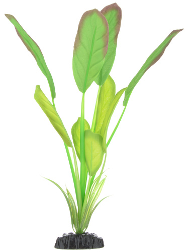Шёлковое растение Эхинодорус Блейхери 20см PLANT 037 20