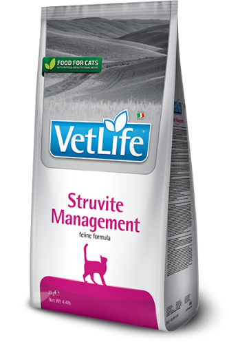 81_13_81_13_vet-life-feline-struvite-management@web
