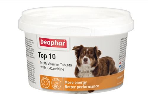 Снимок экрана_8-2-2025_75855_vet-78.ru