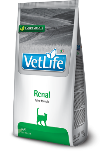 RENAL FELINE