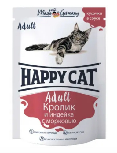 Снимок экрана_9-11-2024_92651_kotmatros.ru