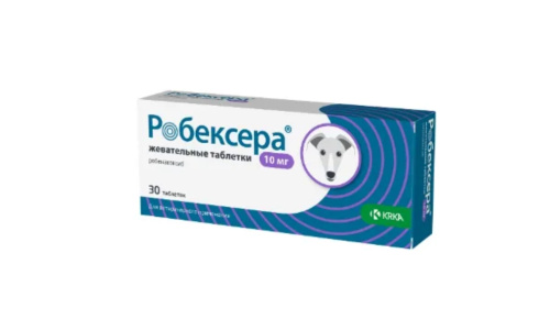 Снимок экрана_13-2-2025_74257_petdog.ru