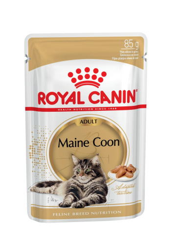 RC Maine Coon adult (в соусе)