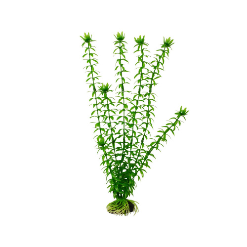 Растение Элодея 20см пластиковое PLANT 004 20