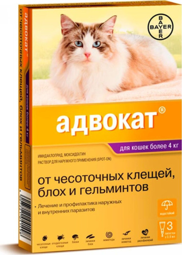 А7