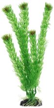 Растение Амбулия зеленое 20см Plant002 20