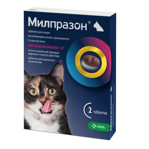 Снимок экрана_10-2-2025_82858_zoozavr.ru