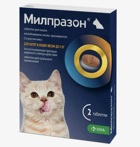 Снимок экрана_10-2-2025_82839_irecommend.ru
