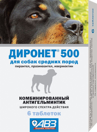 АВЗ Диронет