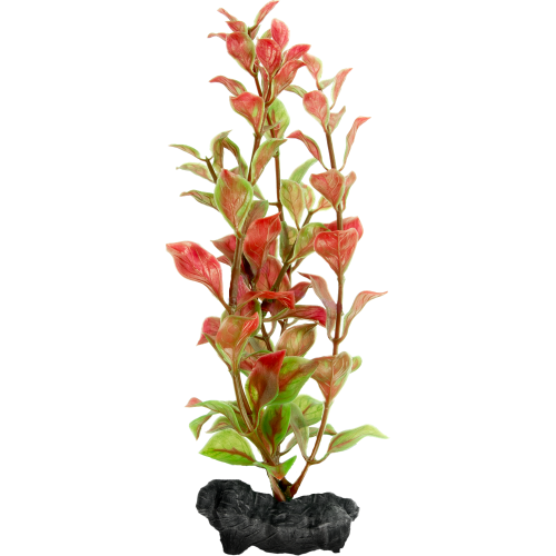 Людвигия красная (Red Ludvigia) S 15см