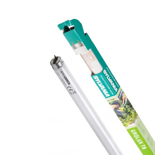 Лампа Сильвания Гролюкс 14Вт 35см SL-0000707