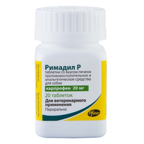 рам 11