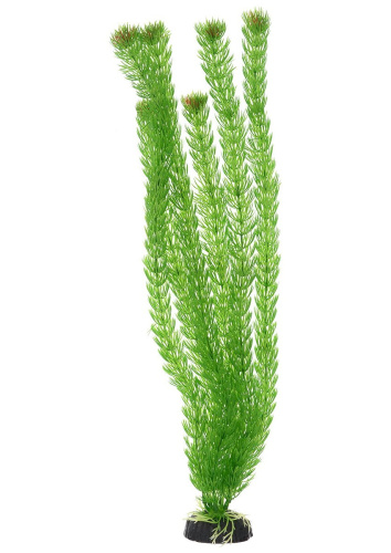 Растение Амбулия зеленое 30см Plant 002 30