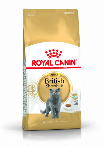 RC British Shorthair Adult