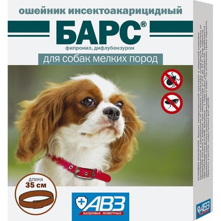 Барс6