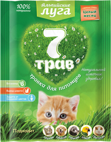 Трава14