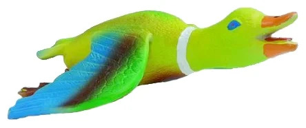 16248