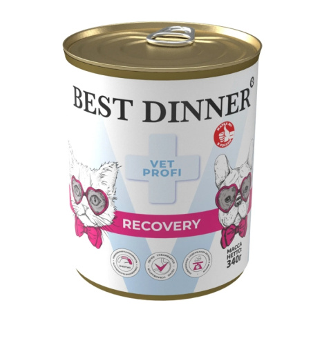 Снимок экрана_9-4-2025_173631_bestdinner.pet
