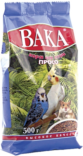 image_view (4)