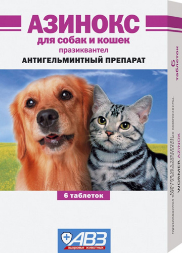 А2