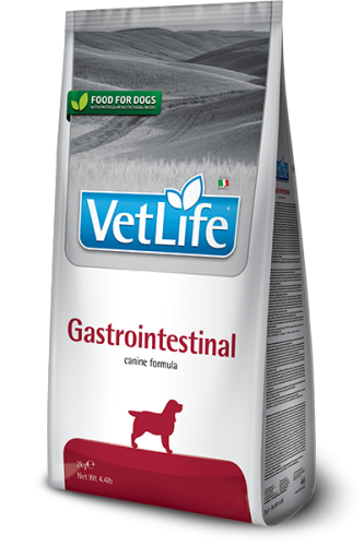 GASTROINTESTINAL CANINE