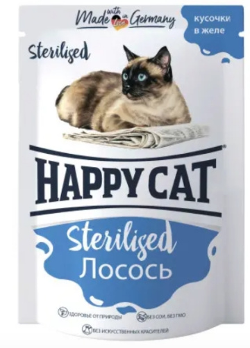 Снимок экрана_20-9-2024_92924_kotmatros.ru