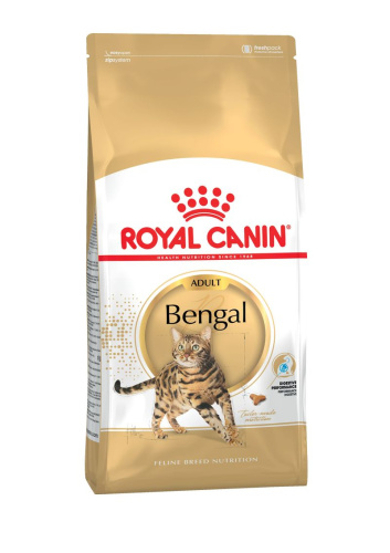 RC Bengal Adult