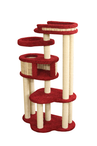 Комплекс «Басик+»