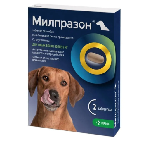 Снимок экрана_10-2-2025_82928_www.ozon.ru