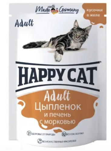 Снимок экрана_20-9-2024_9058_kotmatros.ru