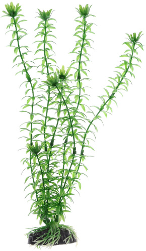 Пластиковое растение Элодея 30см PLANT 004 30
