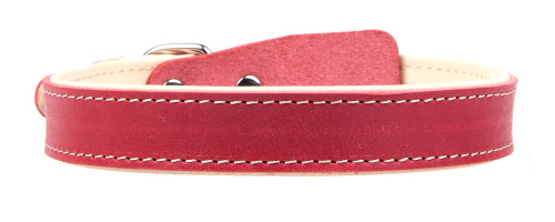 Ошейник 20 мм трехслойный ПРЕМИУМ