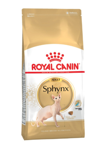 RC Sphynx adult