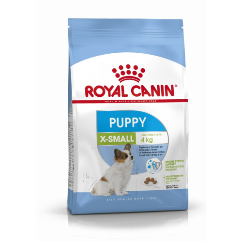 RC X-Small puppy