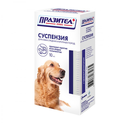 П1