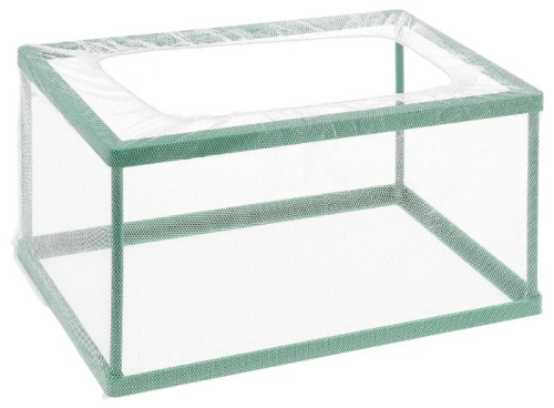 502_262091331520913315_Accessory006