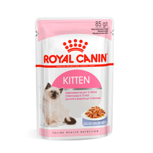RC Kitten (в желе)