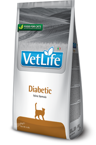 84_13_84_59_vet-life-feline-diabetic@web