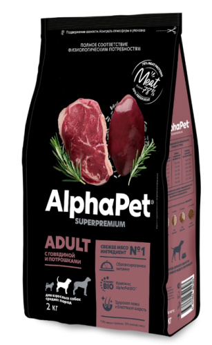 Снимок экрана_11-4-2025_142555_alphapet.ru