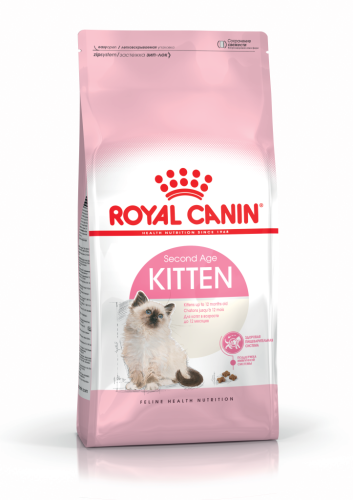 RC Kitten