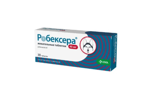 Снимок экрана_13-2-2025_73920_petdog.ru