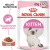 RC Kitten (в соусе)1