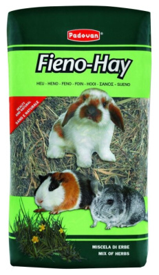 фиено