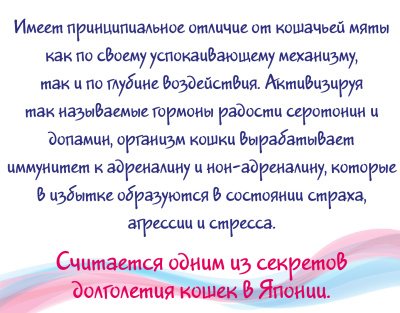 Matatabi2-01 500149 500156 500163 500170 500187 500194 500200 500217 500224 500231 500248 500255