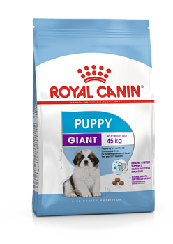 RC Giant puppy