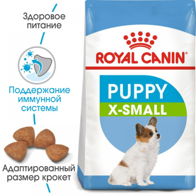 RC X-Small puppy1