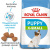 RC X-Small puppy1