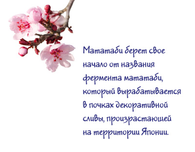 Matatabi3-01 500149 500156 500163 500170 500187 500194 500200 500217 500224 500231 500248 500255